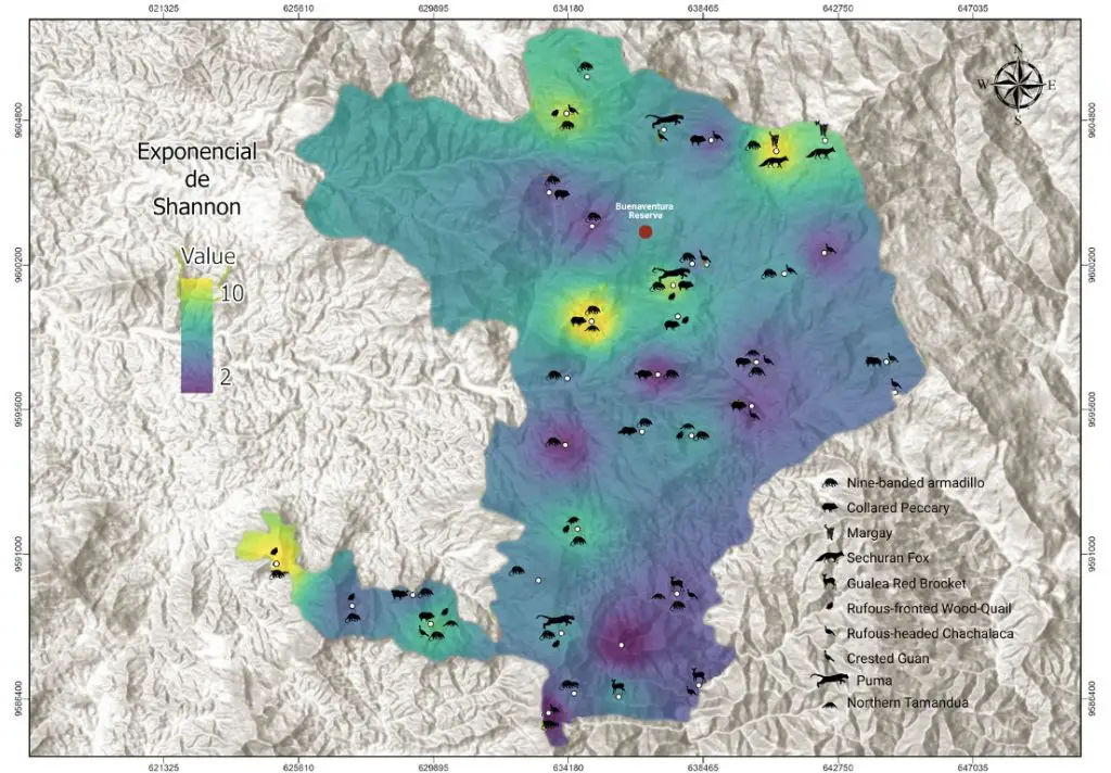 This map show biodiversity levels in and around the Buenaventura Reserve. Lighter colors represent higher biodiversity and darker colors represent lower biodiversity. Wildlife identified by our camera traps are shown as icons on the map.