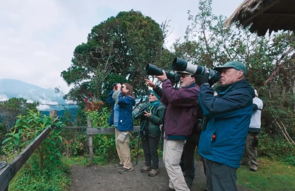 A Paradise for Bird Lovers
