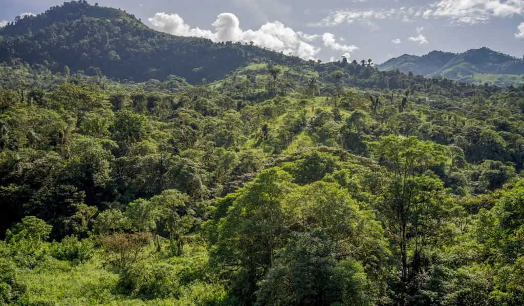 he Transformation of Buenaventura