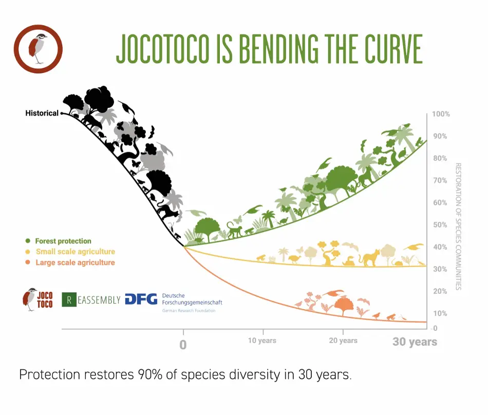 protection restore 90% of species diversity